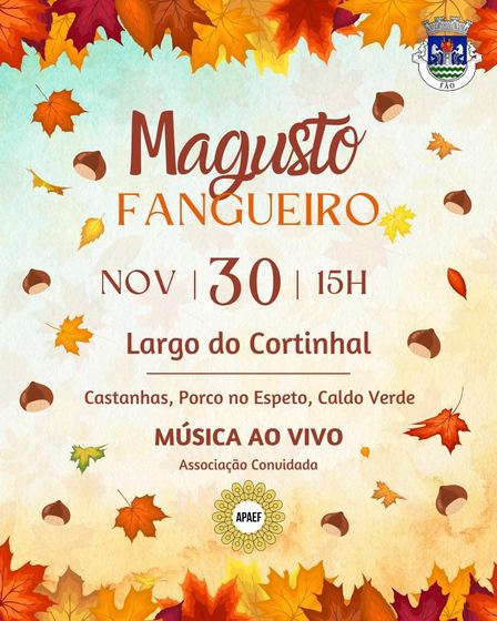 Cartaz do Magusto da APAEF
