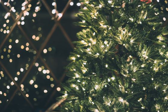 Luzes de Natal