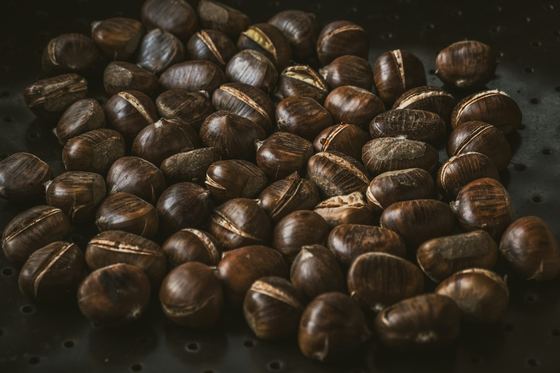 Castanhas de outono